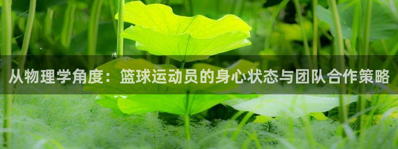 意昂2包怎么样：从物理学角度：篮球运动员的身心状态与团队合作策略