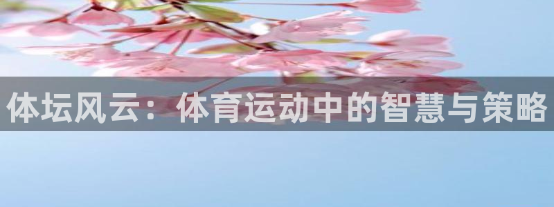 意昂代理：体坛风云：体育运动中的智慧与策略