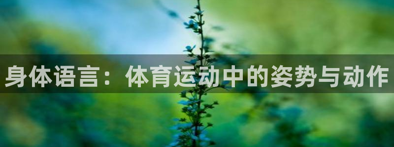 意昂2体育官网：身体语言：体育运动中的姿势与动作