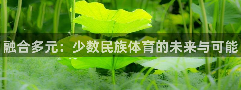 意昂2官网：融合多元：少数民族体育的未来与可能
