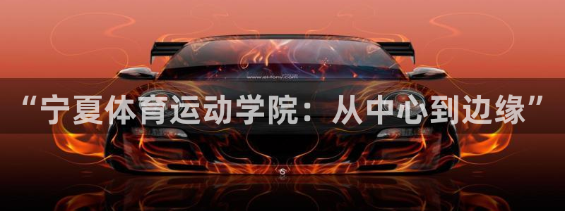 东莞市意昂2电子科技有限公司：“宁夏体育运动学院：从中心到边缘”