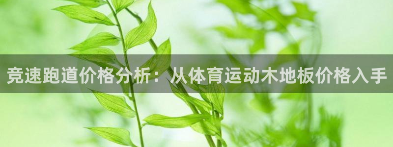 意昂官网：竞速跑道价格分析：从体育运动木地板价格入手