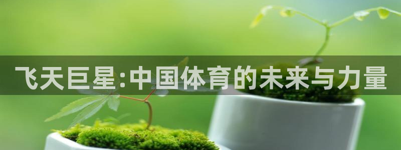 意昂体育官网：飞天巨星:中国体育的未来与力量