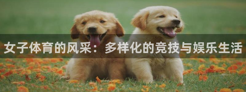意昂23注册：女子体育的风采：多样化的竞技与娱乐生活