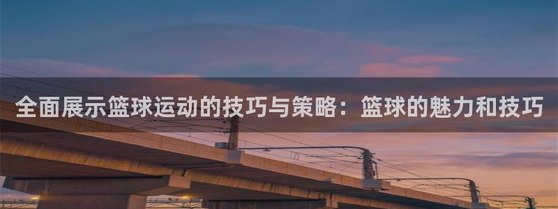 德国意昂2集团：全面展示篮球运动的技巧与策略：篮球的魅力和技巧