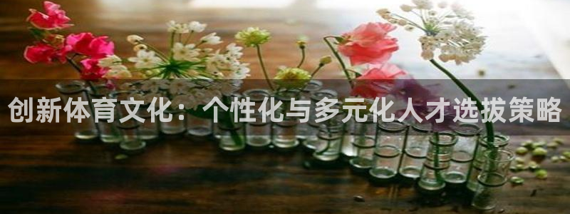 意昂2体育凯捷平台主管：创新体育文化：个性化与多元化人才选拔策略