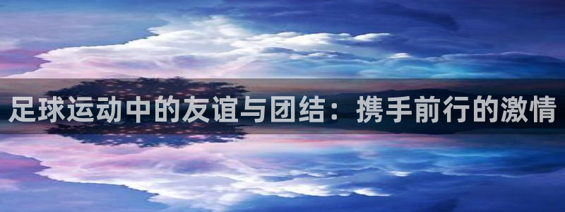 意昂4注册：足球运动中的友谊与团结：携手前行的激情