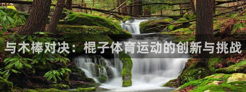 意昂2招商：与木棒对决：棍子体育运动的创新与挑战