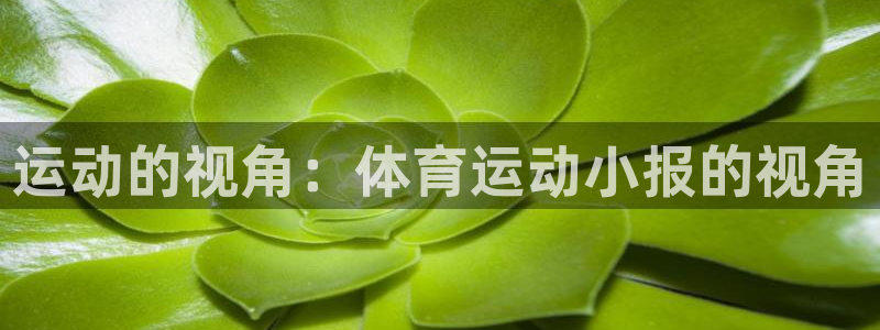 意昂2体育：运动的视角：体育运动小报的视角