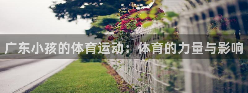 福建意昂2机电股份公司：广东小孩的体育运动：体育的力量与影响