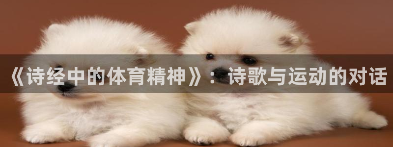 意昂2体育凯捷平台注册：《诗经中的体育精神》：诗歌与运动的对话