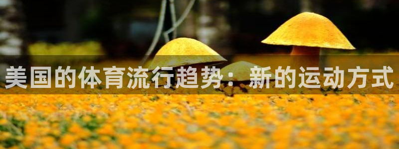 意昂集团股票：美国的体育流行趋势：新的运动方式