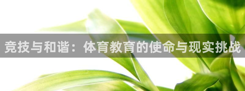意昂2体育老板是谁：竞技与和谐：体育教育的使命与现实挑战