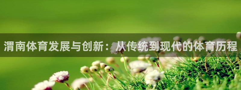 意昂2体育游戏：渭南体育发展与创新：从传统到现代的体育历程