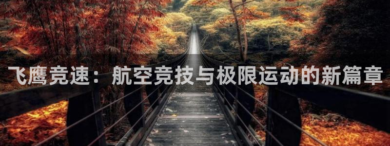 意昂2体育在线注册：飞鹰竞速：航空竞技与极限运动的新篇章