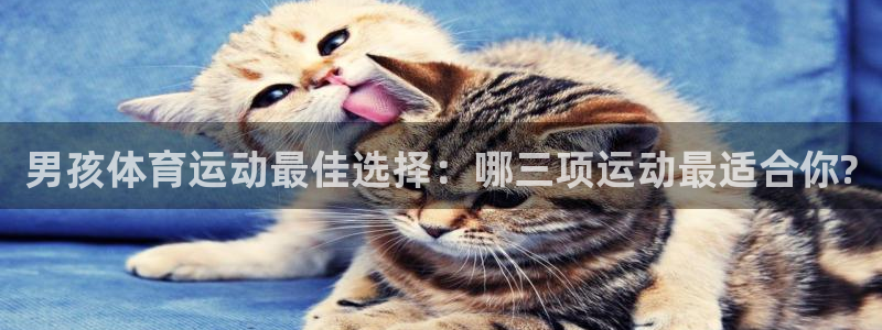意昂3官网登录：男孩体育运动最佳选择：哪三项运动最适合你?