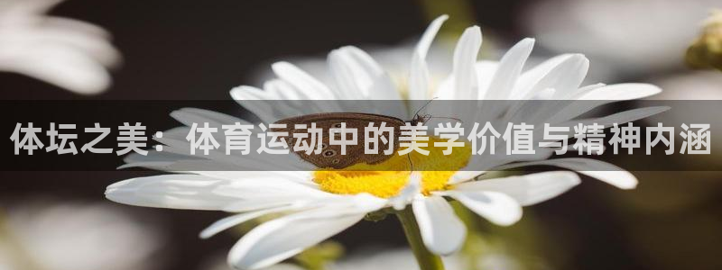 意昂4注册：体坛之美：体育运动中的美学价值与精神内涵