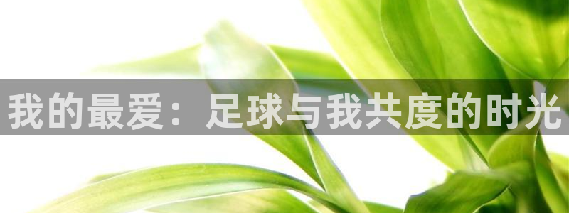 意昂2体育网页版入口：我的最爱：足球与我共度的时光