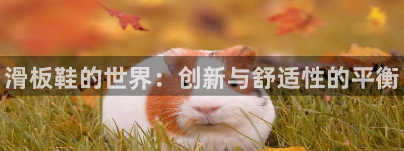 意昂2体育f开号：滑板鞋的世界：创新与舒适性的平衡