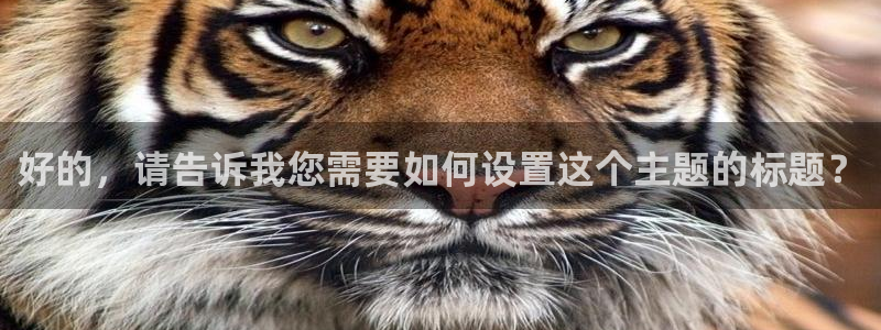 意昂2体育代理申请流程：好的，请告诉我您需要如何设置这个主题的标题？